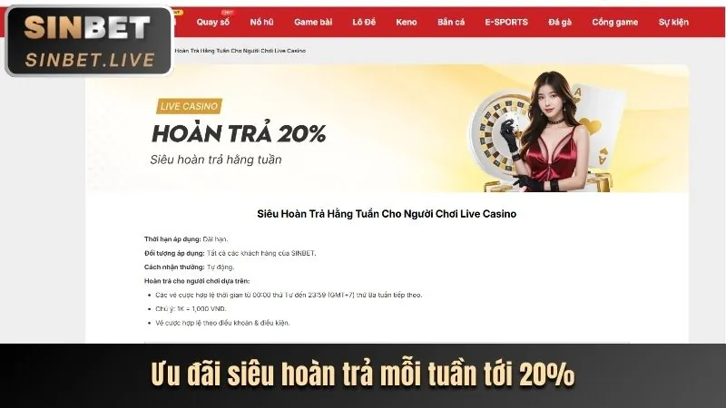 Hoàn trả hàng tuần tải x8
